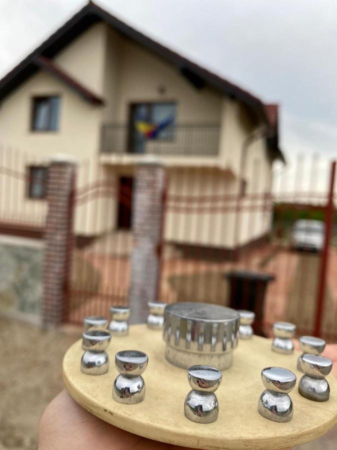 Apartamento Casa Brancusiana Târgu Jiu Exterior foto