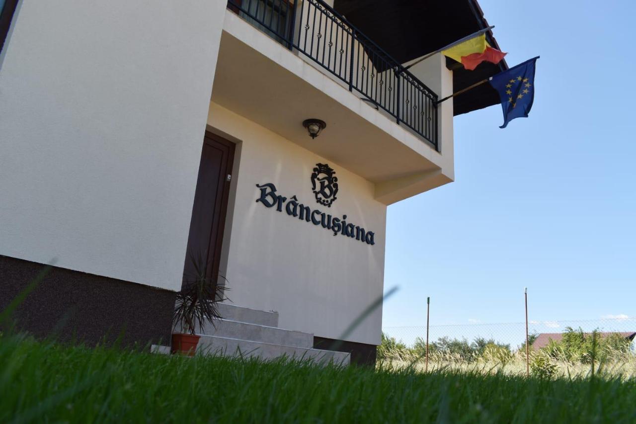 Apartamento Casa Brancusiana Târgu Jiu Exterior foto